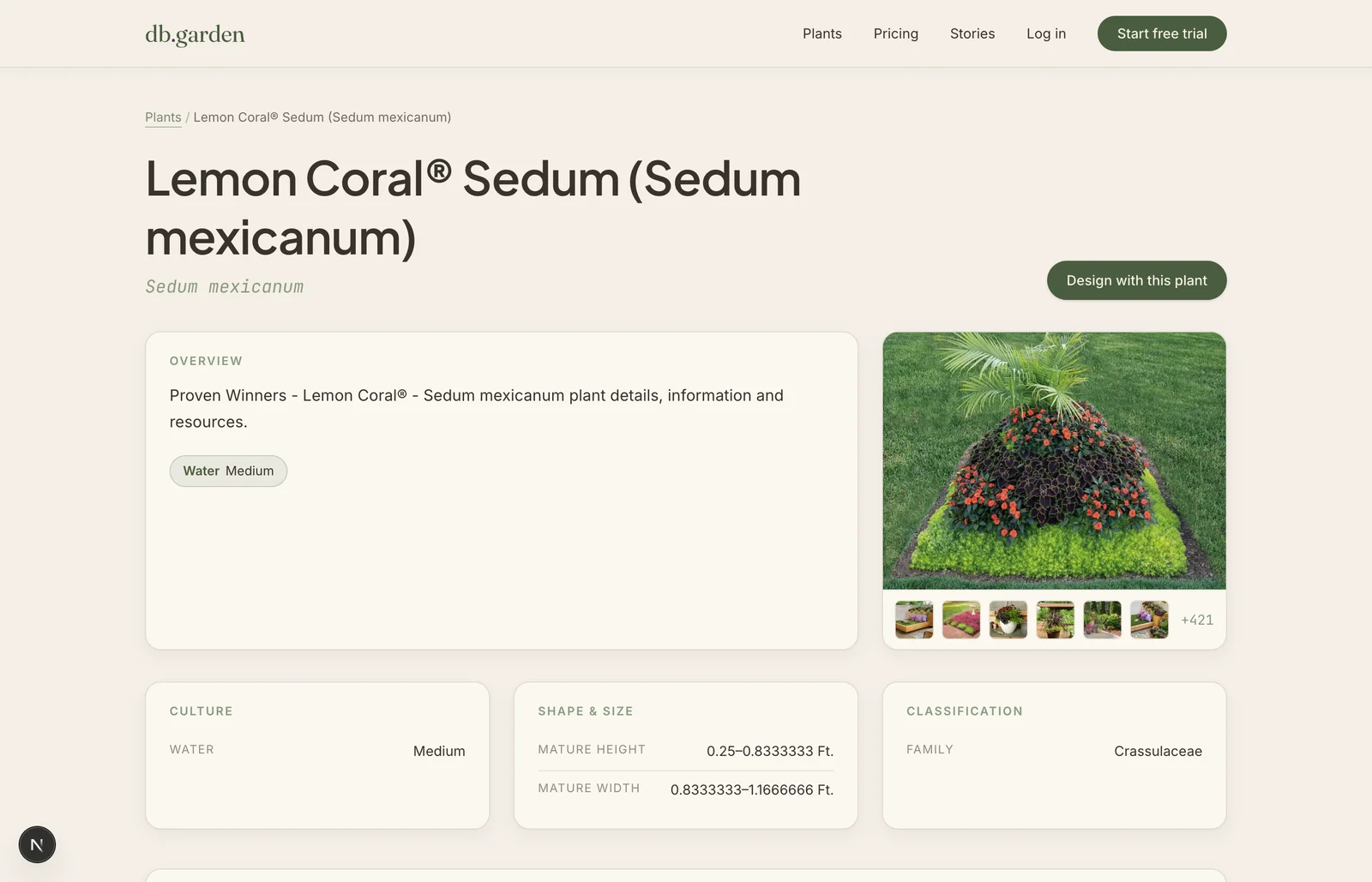 db.garden plant page showing photos, botanical name, culture, size and classification